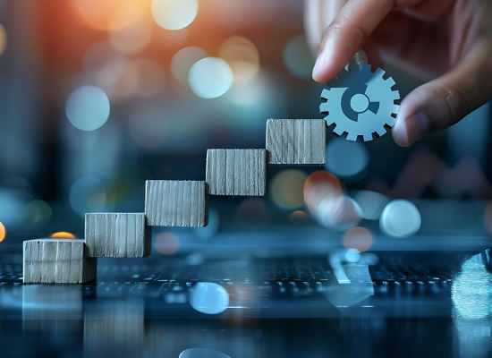 Management and Development